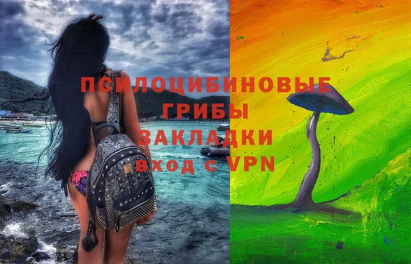 дмт Арсеньев