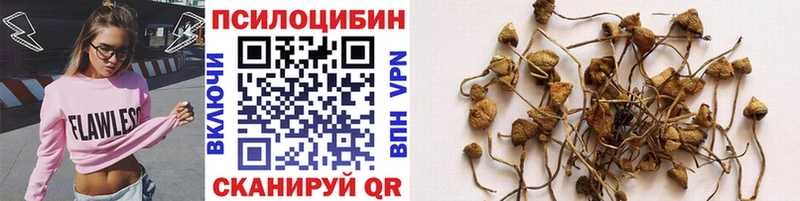 Псилоцибиновые грибы Psilocybine cubensis  shop телеграм  Любань 